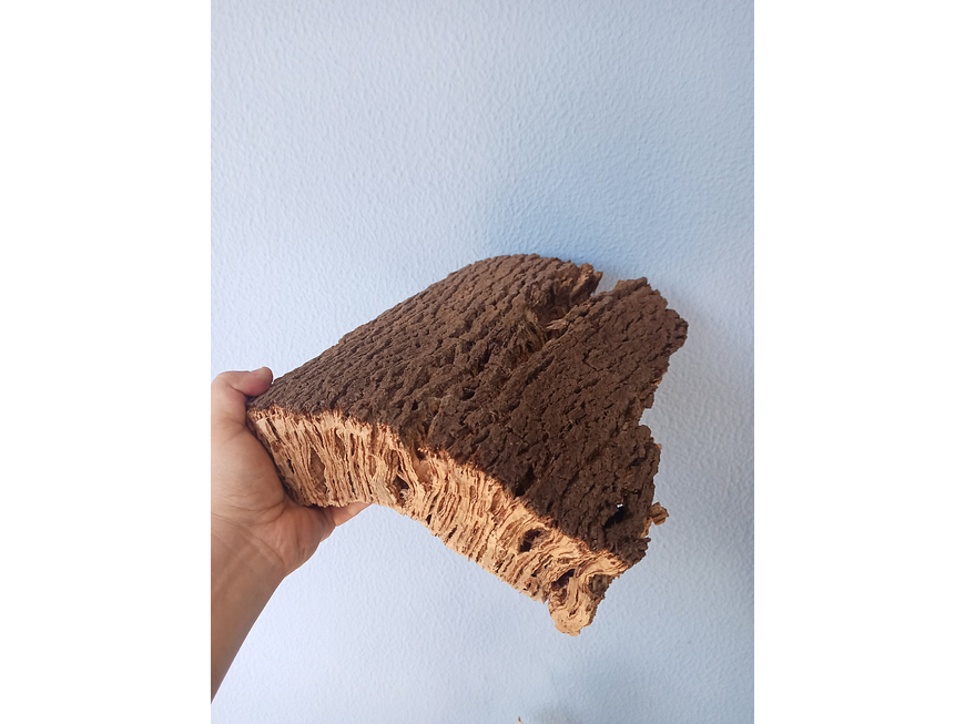 1x Thick cork from Portugal (30cm x 25cm x 11cm) 3