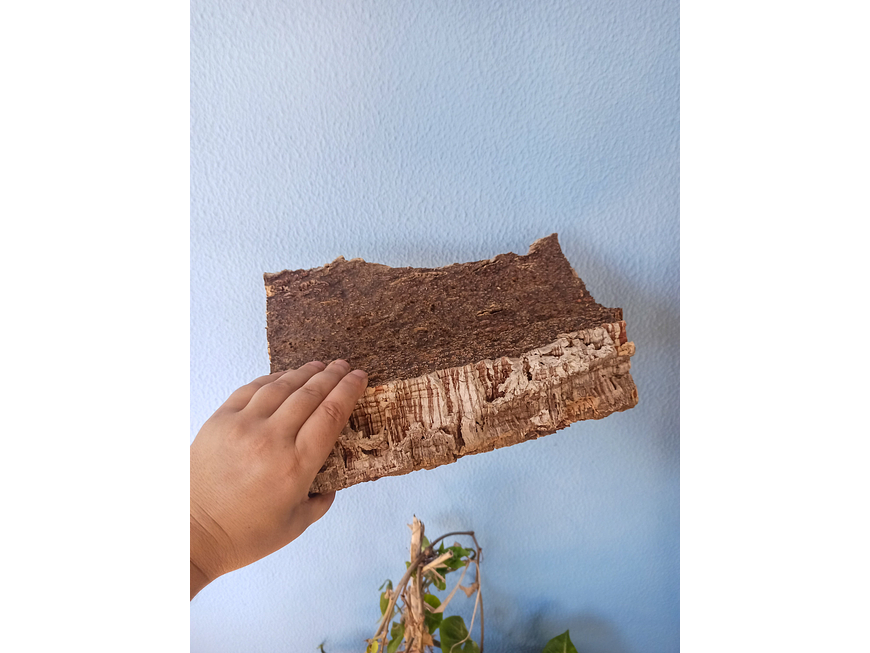 1x Thick cork from Portugal (30cm x 25cm x 11cm) 4