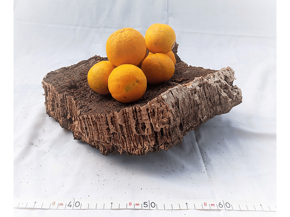 1x Thick cork from Portugal (30cm x 25cm x 11cm) 5
