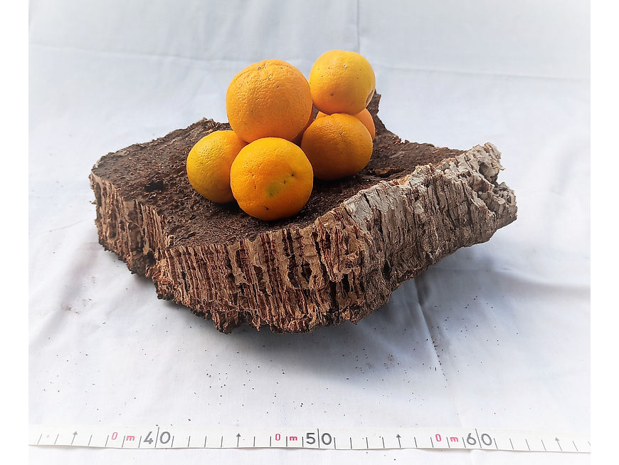 1x Thick cork from Portugal (30cm x 25cm x 11cm) 5