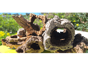 Terrarium kit with cork mix - 1.6kg - from Portugal