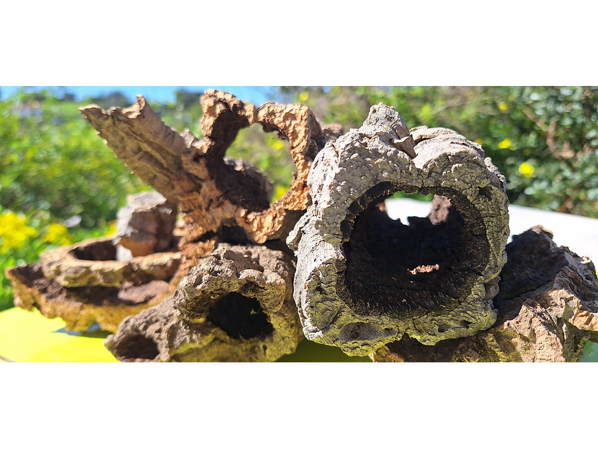 Terrarium kit with cork mix - 1.6kg - from Portugal 1