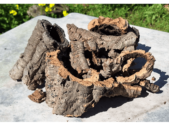 Terrarium kit with cork mix - 1.6kg - from Portugal 2