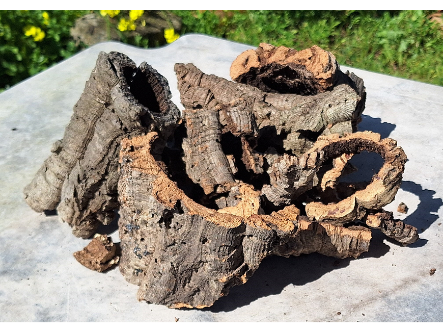 Terrarium kit with cork mix - 1.6kg - from Portugal 2