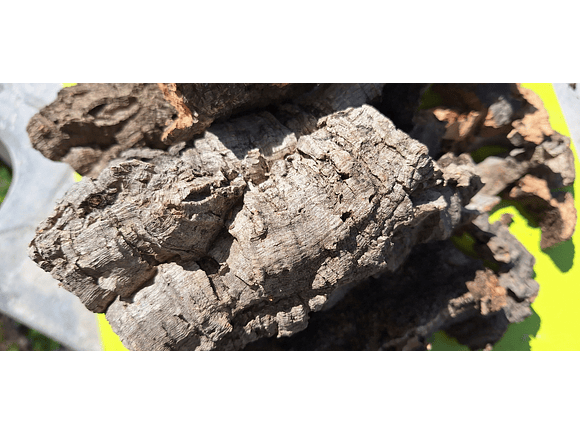 Terrarium kit with cork mix - 1.6kg - from Portugal 4