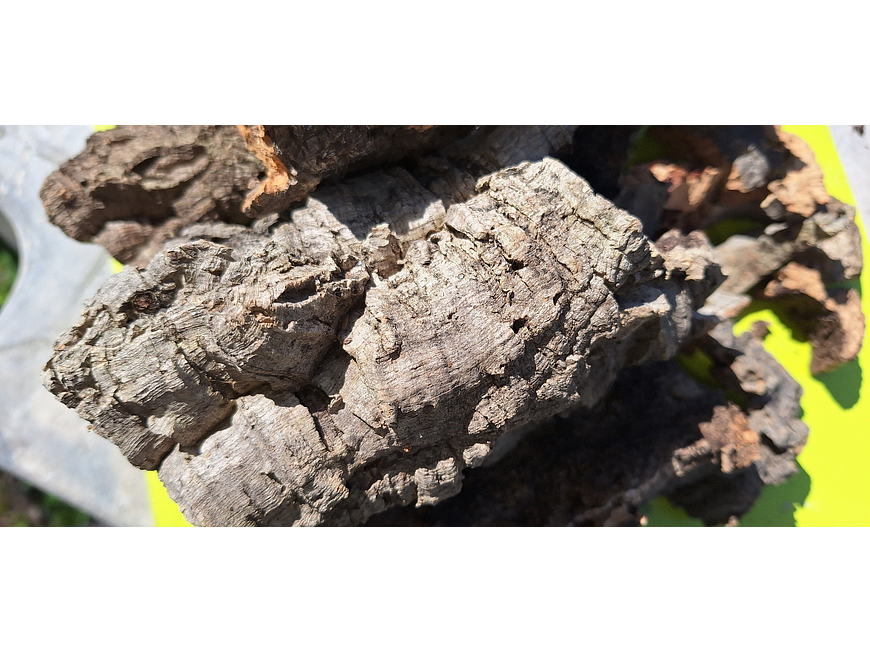 Terrarium kit with cork mix - 1.6kg - from Portugal 4