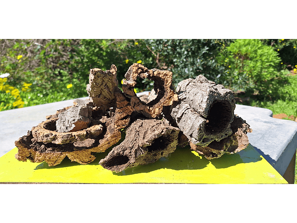 Terrarium kit with cork mix - 1.6kg - from Portugal 5