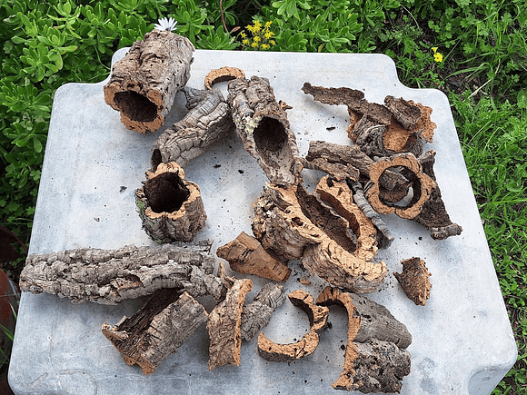 Terrarium kit with cork mix - 1.6kg - from Portugal 6