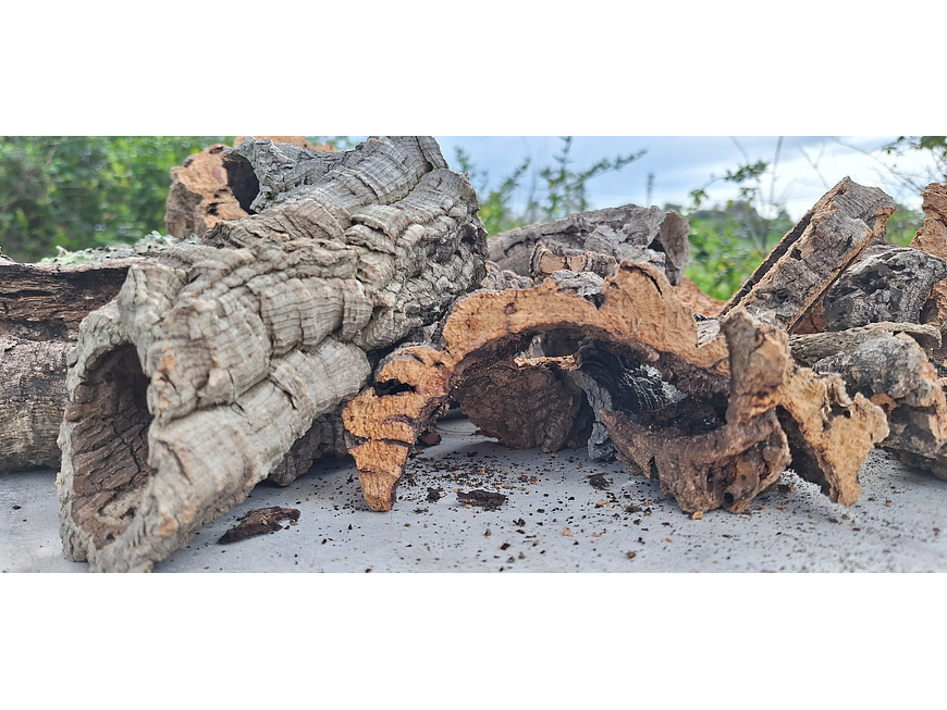 Terrarium kit with cork mix - 1.6kg - from Portugal 8