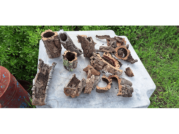 Terrarium kit with cork mix - 1.6kg - from Portugal 9