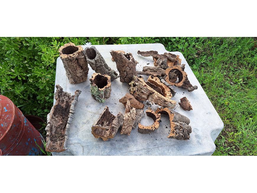 Terrarium kit with cork mix - 1.6kg - from Portugal 9