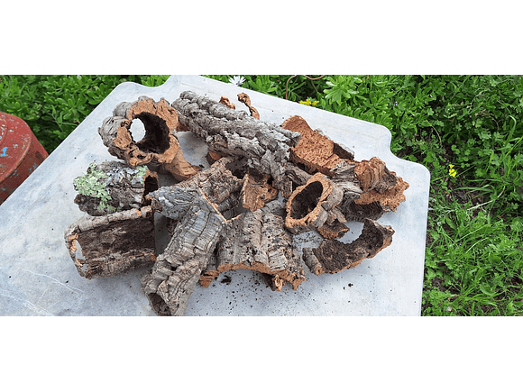Terrarium kit with cork mix - 1.6kg - from Portugal 10