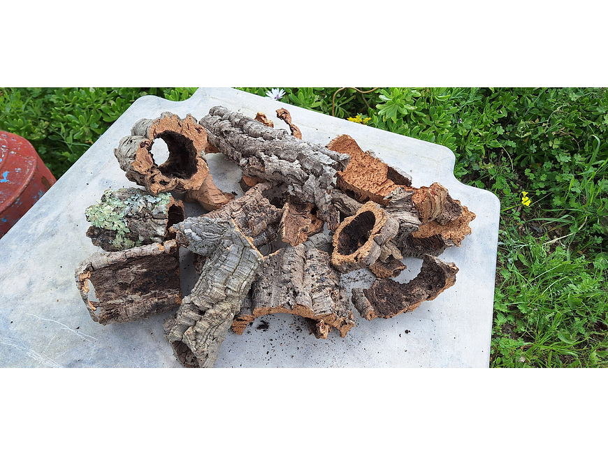 Terrarium kit with cork mix - 1.6kg - from Portugal 10