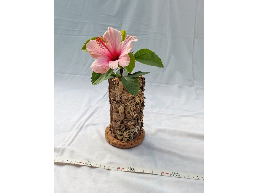 2x small handmade cork vases - 100% natural and sustainable 6