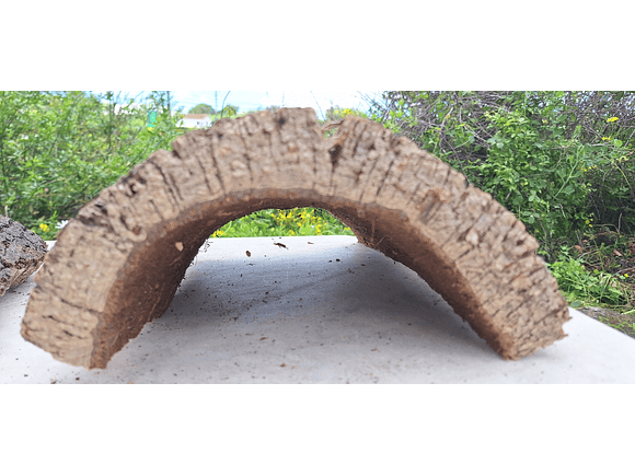 Cork Tray (25x20x7cm) 2