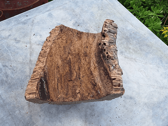 Cork Tray (25x20x7cm) 3