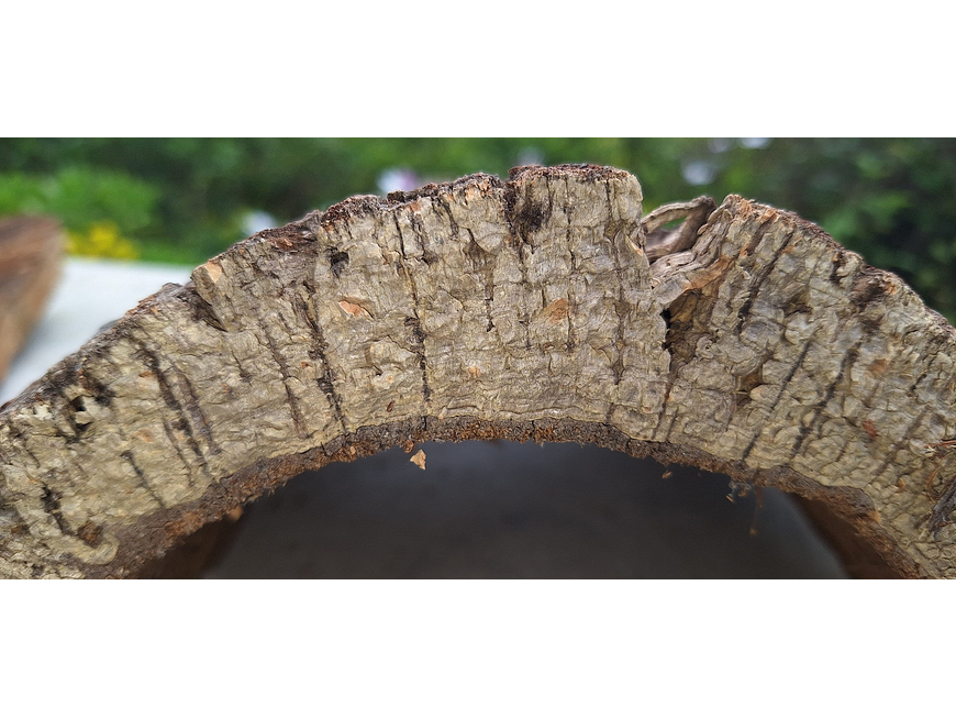 Cork Tray (25x20x7cm) 4