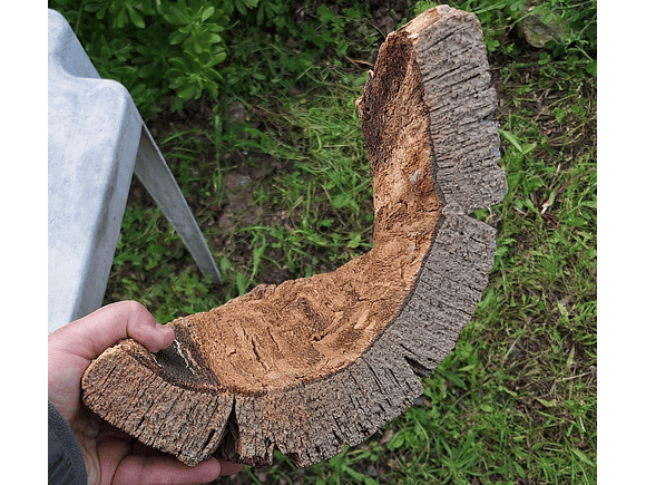 Cork Tray (25x20x7cm) 7