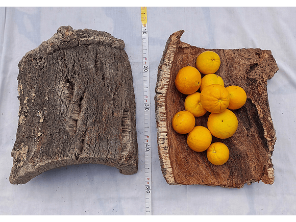 Cork Tray (25x20x7cm) 8