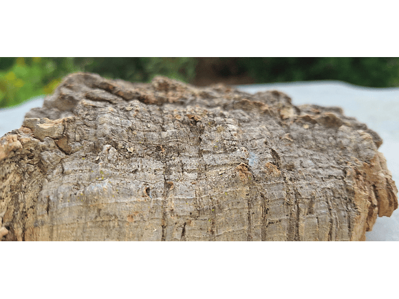 1x Virgin Cork Board: (15x15x4cm) 2