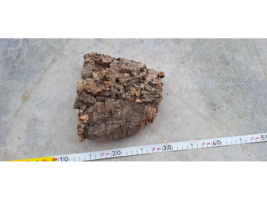 1x Virgin Cork Board: (15x15x4cm) 5