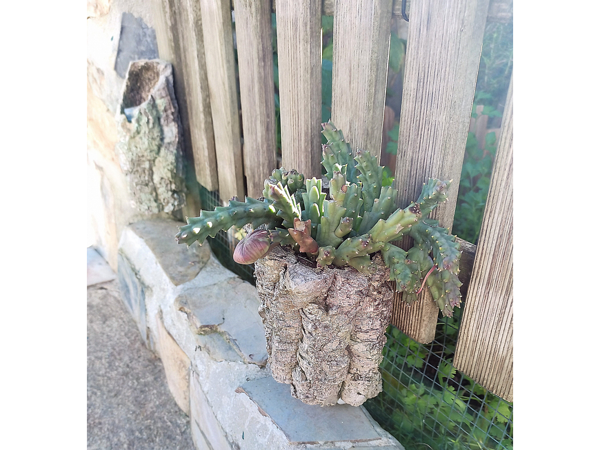 Small cork tubes, 1.6 kg 6