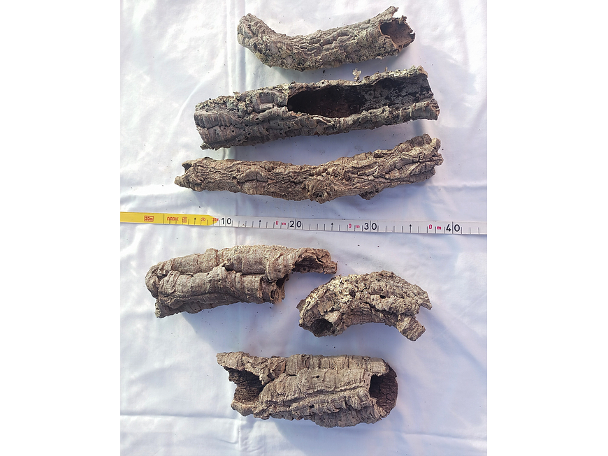 Small cork tubes, 1.6 kg 7