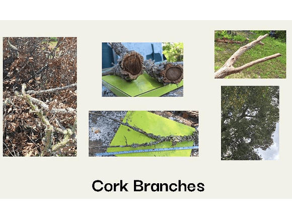 1 large box measuring 80x60x50cm. You choose the mix. Approximately 20kg. ± 60 medium-sized pieces. 5