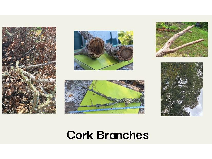 1 large box measuring 80x60x50cm. You choose the mix. Approximately 20kg. ± 60 medium-sized pieces. 5