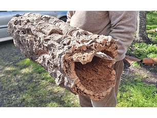 1x Large Cork Tube (60x20x20cm)