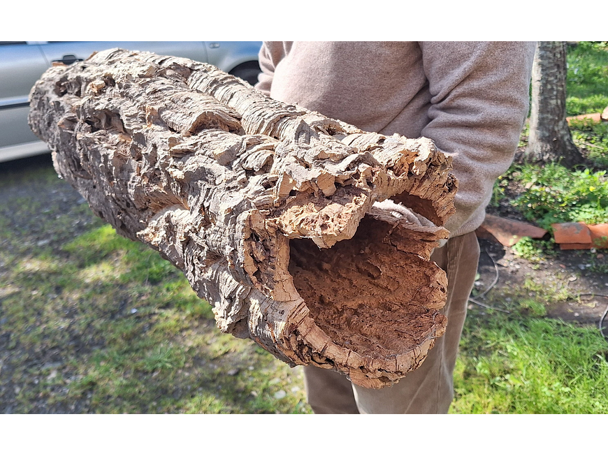 1x Large Cork Tube (60x20x20cm) 1