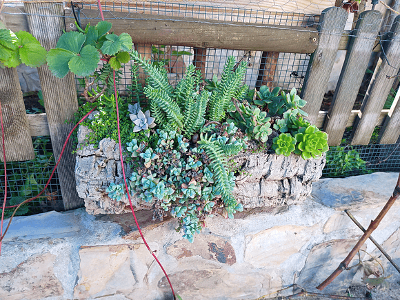 1x Large Cork Tube (60x20x20cm) 2