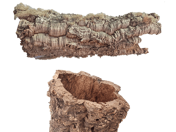 1x Large Cork Tube (60x20x20cm) 3