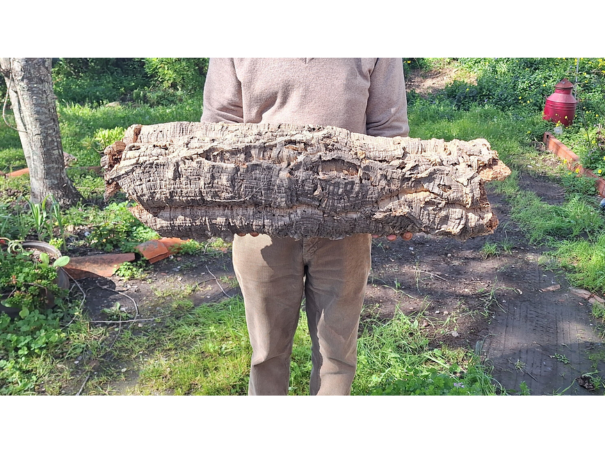 1x Large Cork Tube (60x20x20cm) 4