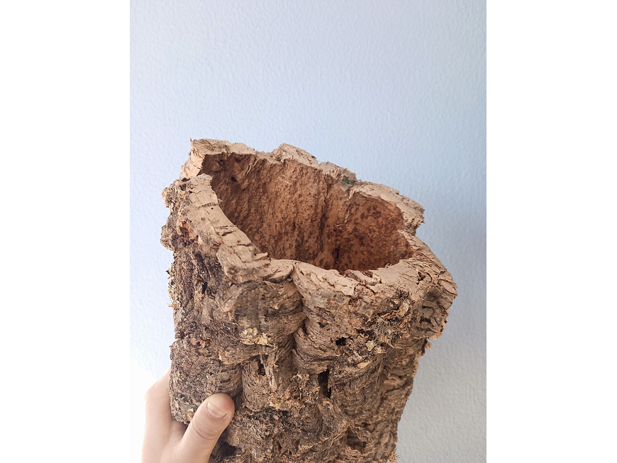 1x Large Cork Tube (60x20x20cm) 5