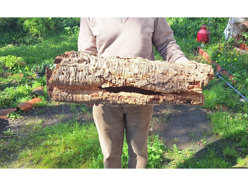 1x Large Cork Tube (60x20x20cm) 6