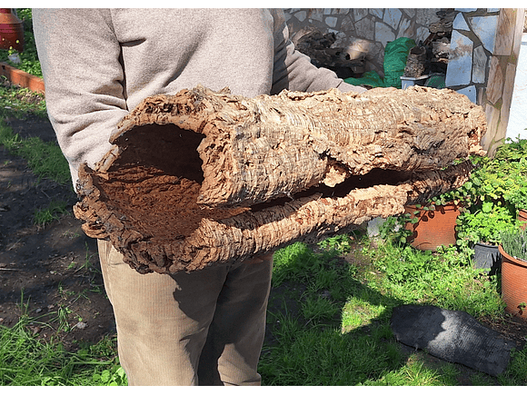 1x Large Cork Tube (60x20x20cm) 7