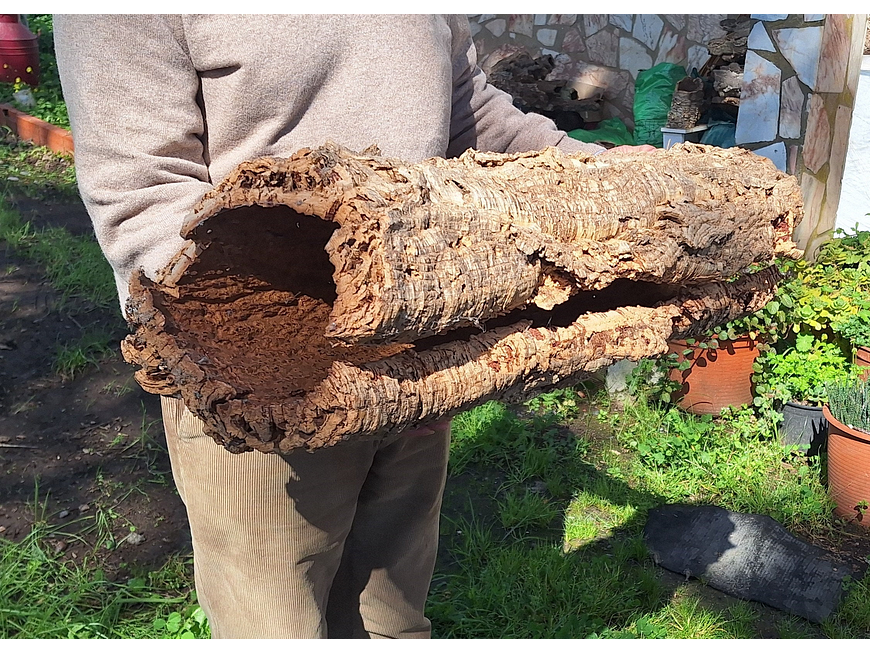 1x Large Cork Tube (60x20x20cm) 7