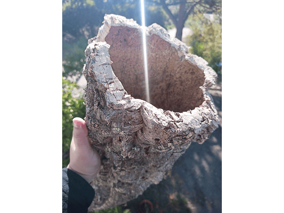 1x Large Cork Tube (60x20x20cm) 8