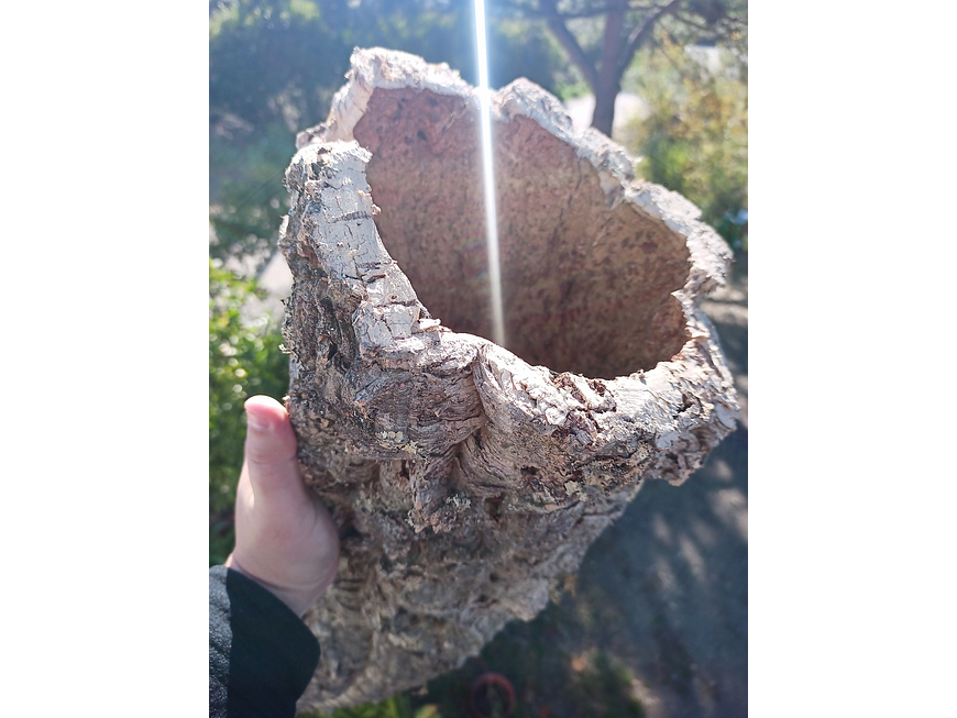 1x Large Cork Tube (60x20x20cm) 8