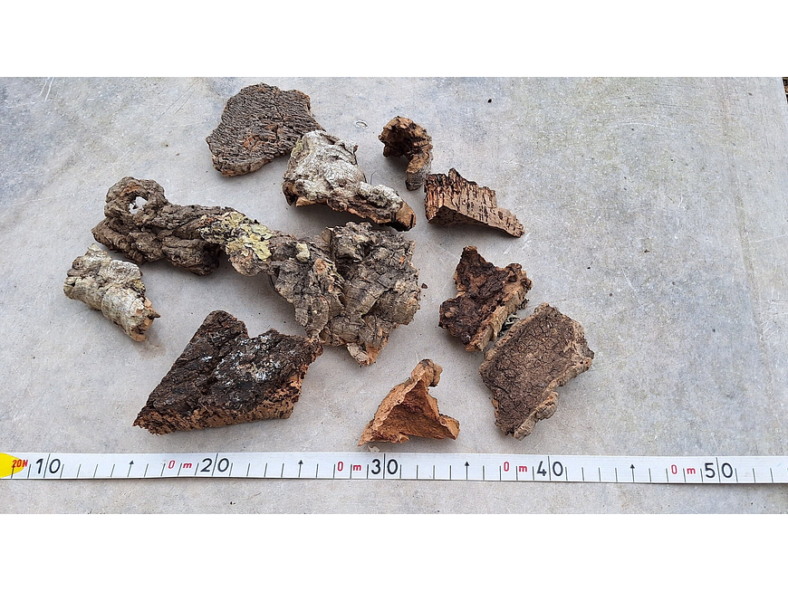 0.2kg - Cork Pieces - from Portugal, for Plants and Terrariums 2