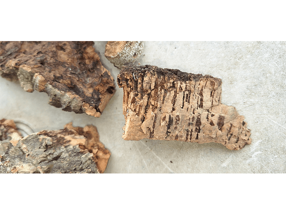 0.2kg - Cork Pieces - from Portugal, for Plants and Terrariums 5