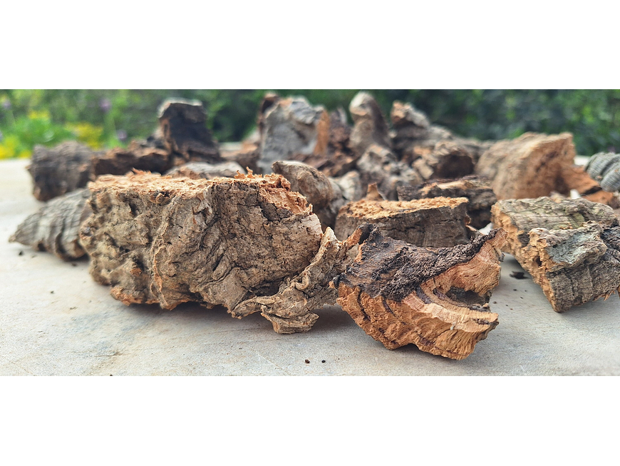 0.2kg - Cork Pieces - from Portugal, for Plants and Terrariums 7