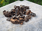 0.4kg - Cork Pieces - from Portugal, for Plants and Terrariums - thumbnail 1