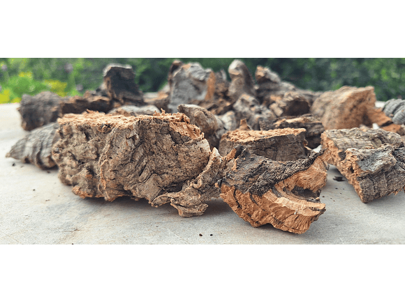 0.4kg - Cork Pieces - from Portugal, for Plants and Terrariums 2