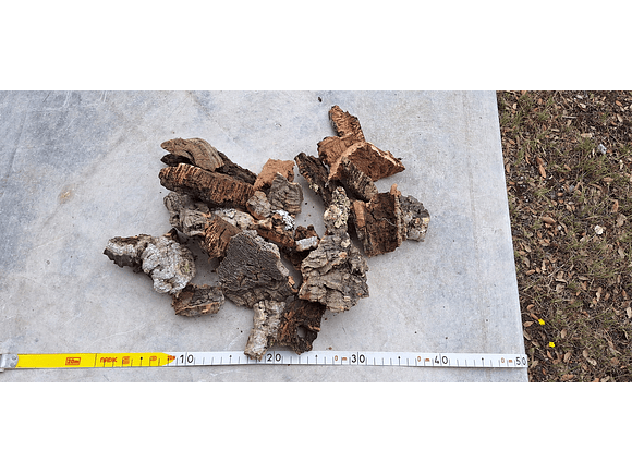 0.4kg - Cork Pieces - from Portugal, for Plants and Terrariums 3
