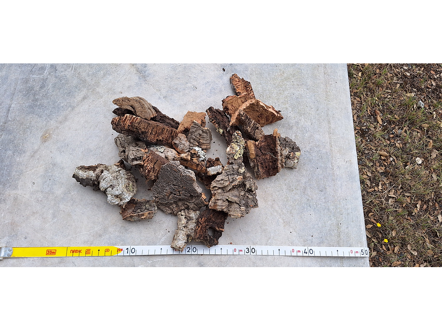 0.4kg - Cork Pieces - from Portugal, for Plants and Terrariums 3