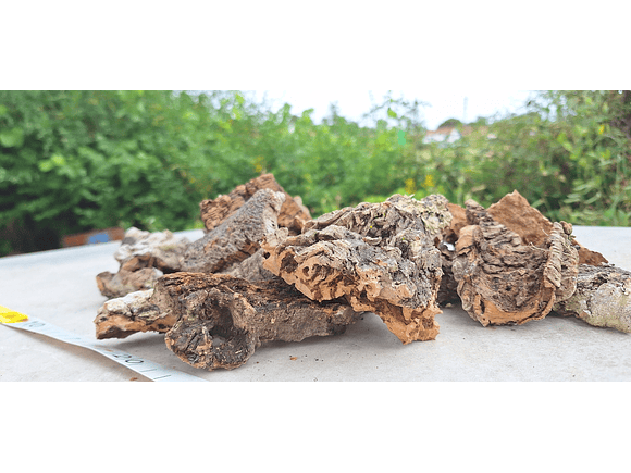 0.4kg - Cork Pieces - from Portugal, for Plants and Terrariums 4