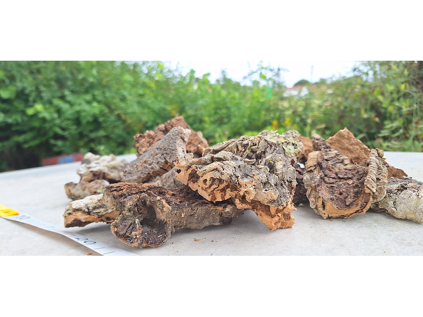 0.4kg - Cork Pieces - from Portugal, for Plants and Terrariums 4