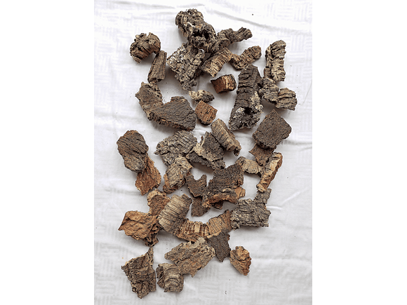 0.4kg - Cork Pieces - from Portugal, for Plants and Terrariums 5